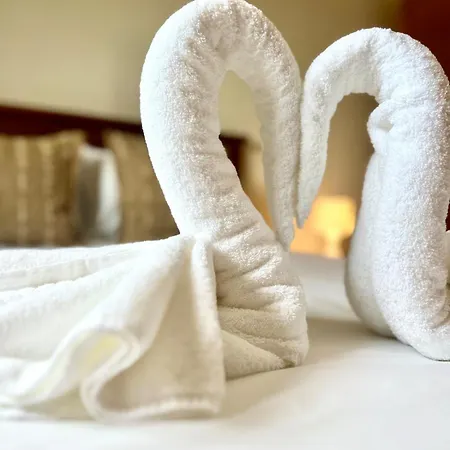 Apartament Viva Onda Baleal Surfing &