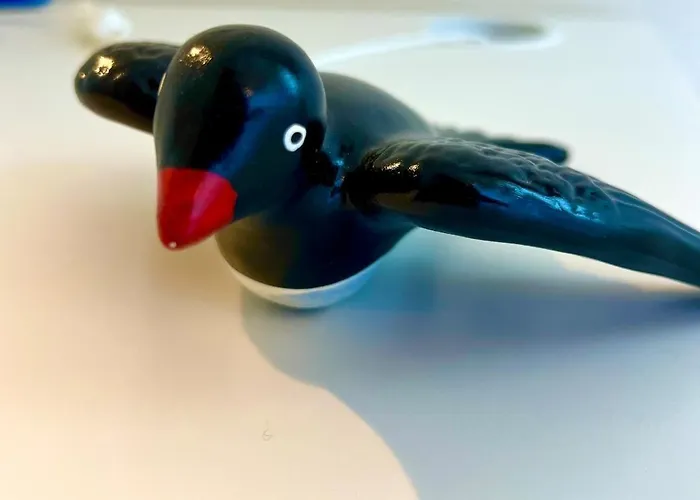 Viva Onda Baleal Surfing &